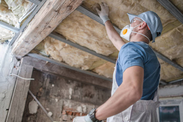 Best Insulation Removal  in Eatons Neck, NY